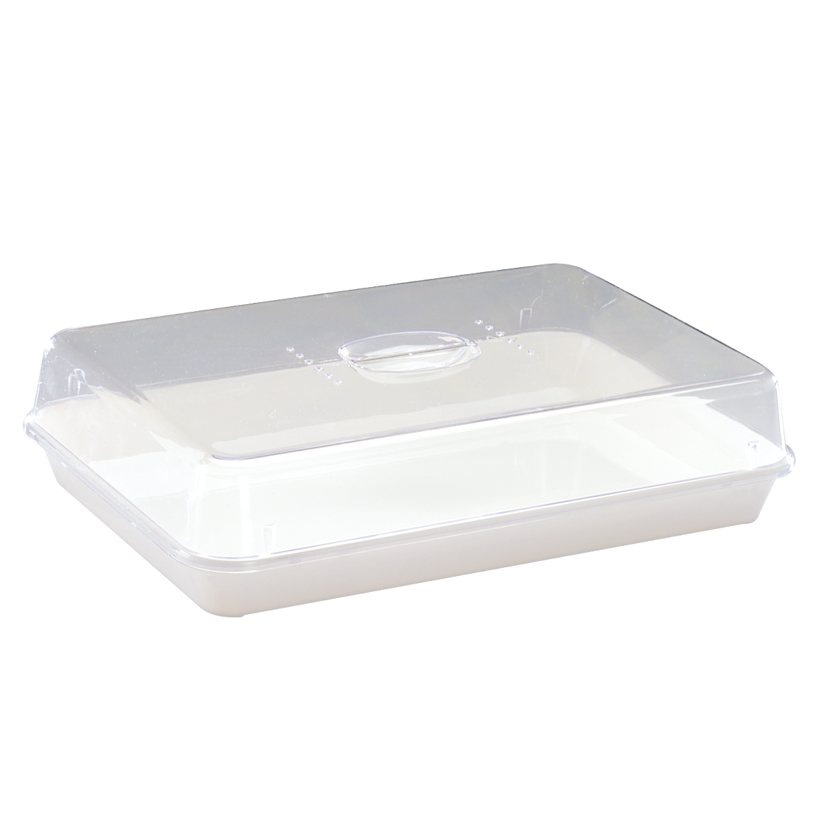 Frischhaltebox mit Deckel