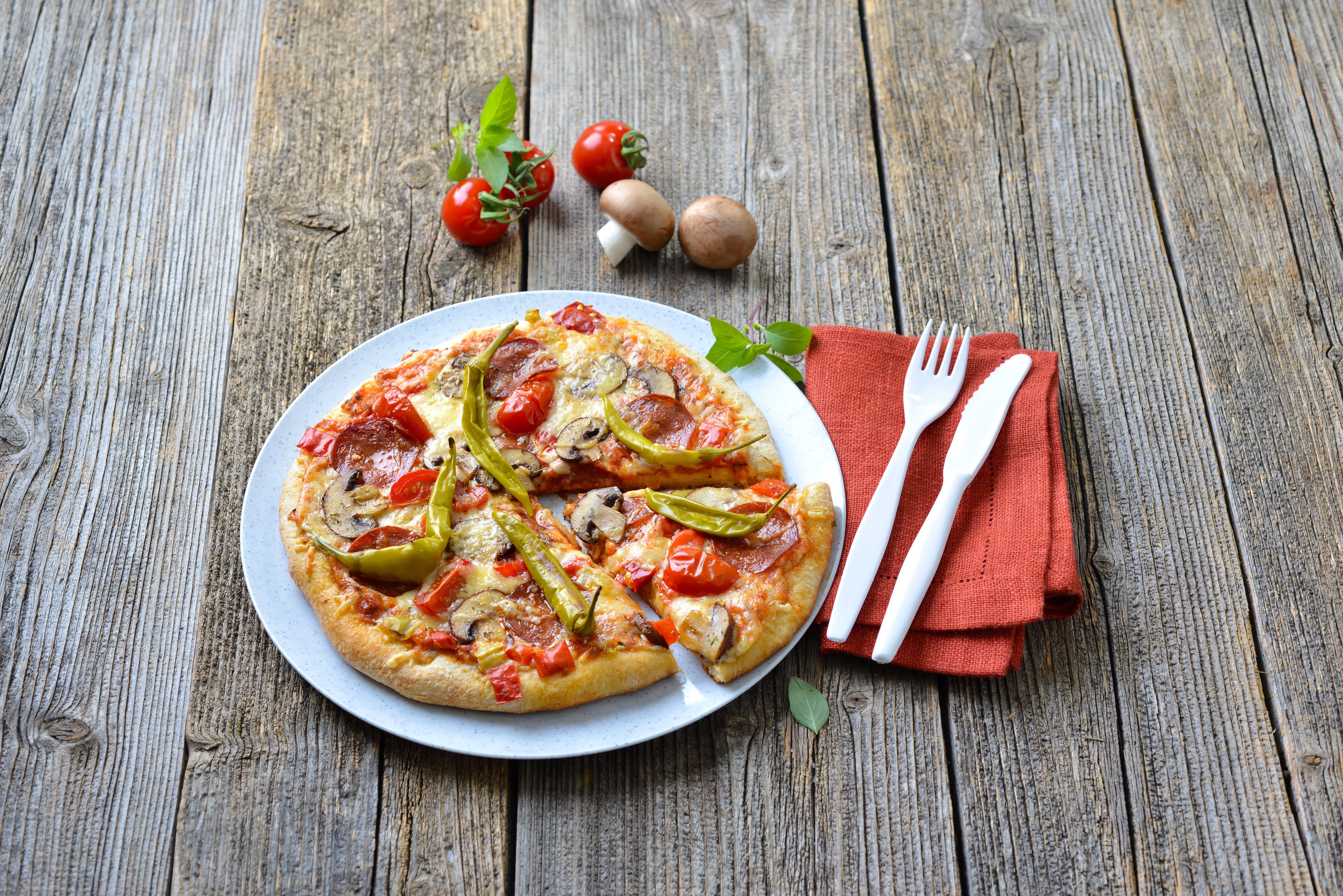 Pizzateller - perfekt für Pizza, Flammkuchen und Co.